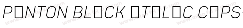 Panton Black italic Caps字体转换